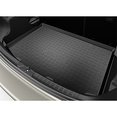 accessory image