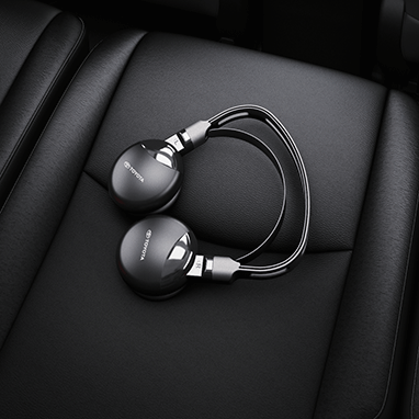 accessory image